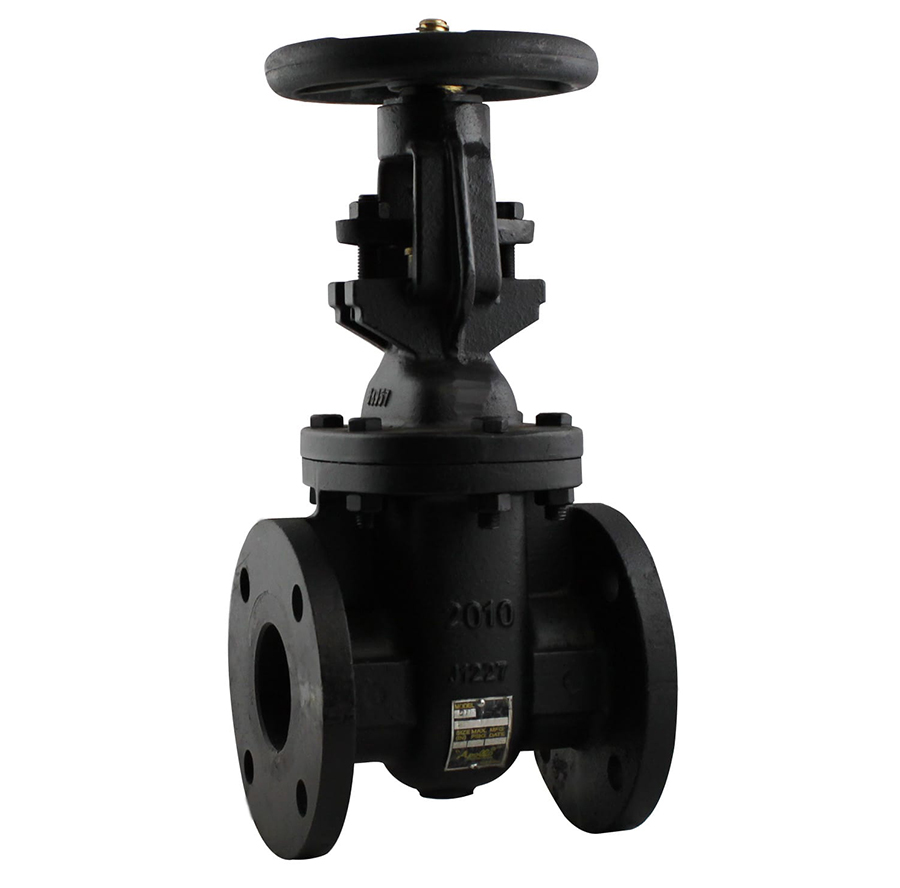 Legend 116-124 T-303 OS & Y Cast Iron Gate Valve Flanged 4